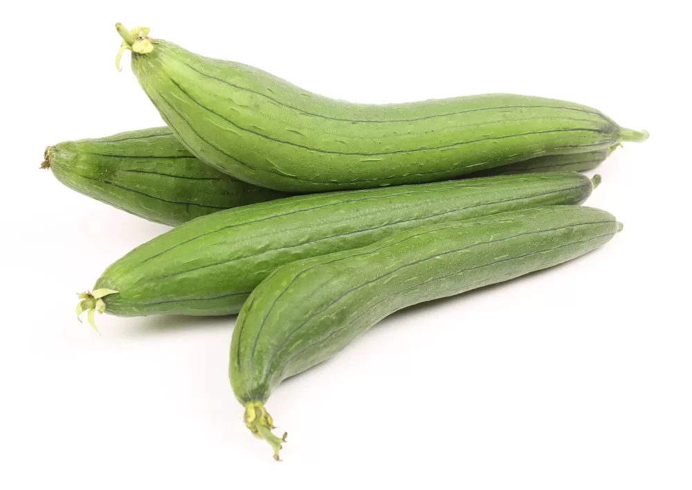 Sponge Gourd (घोसाळी) 