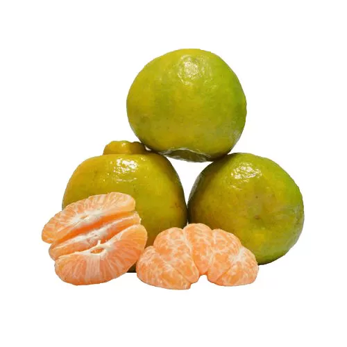 Nagpur Orange (संत्री नागपूर) 
