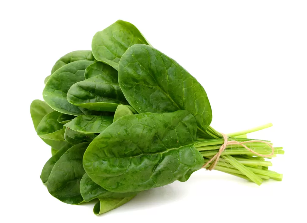 Spinach (पालक) 
