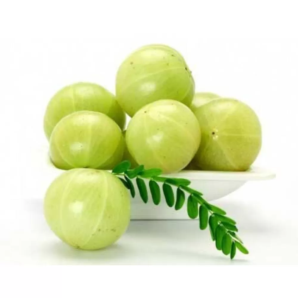 avala (आवळा) 