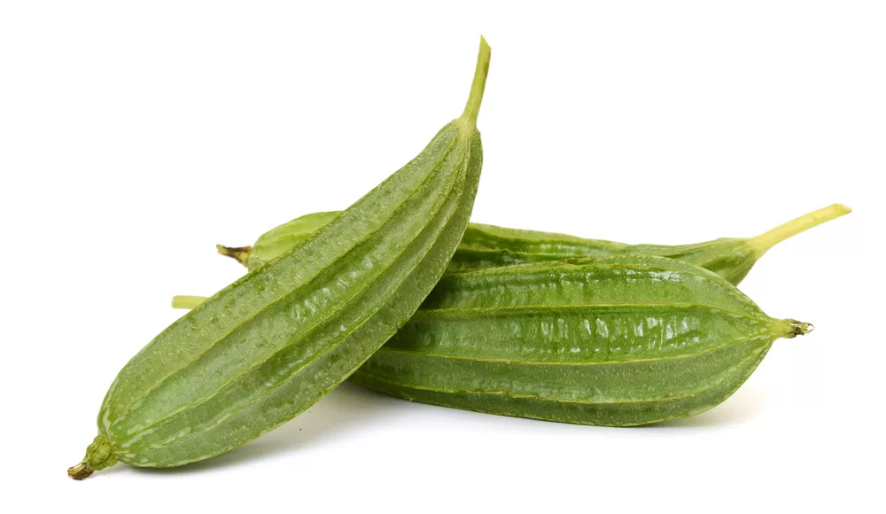 Ridge Gourd (दोडका) 