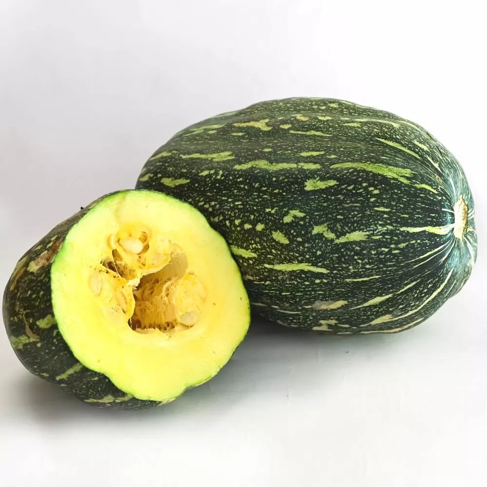 Pumpkin Dangar (डांगर भोपळा) 