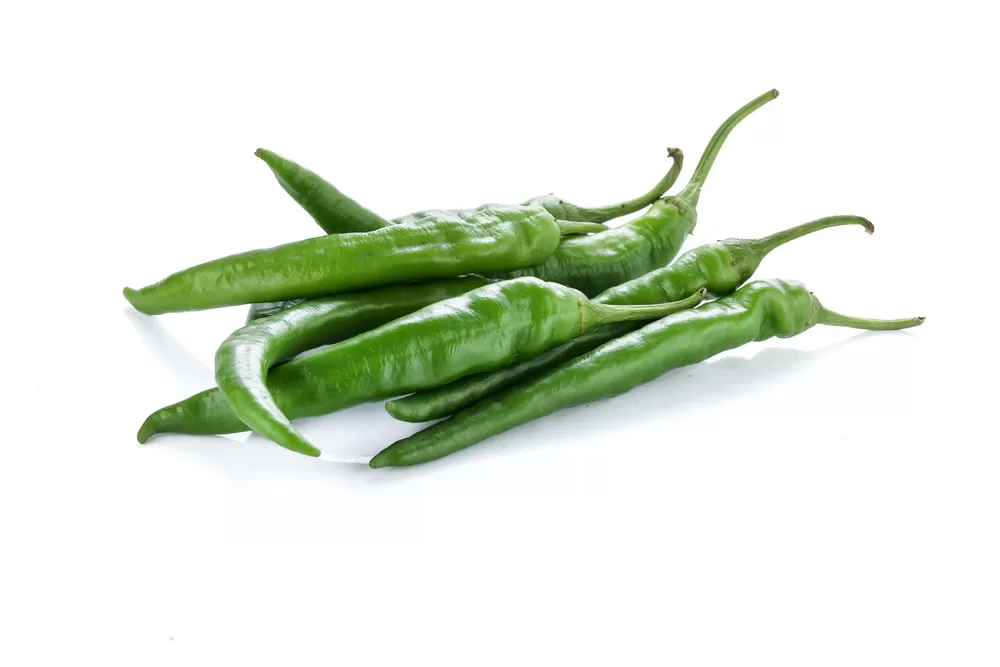 Chilli Spicy (मिरची तिखट) 