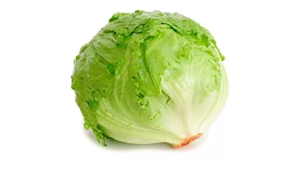 Iceberg (आईसबर्ग) 