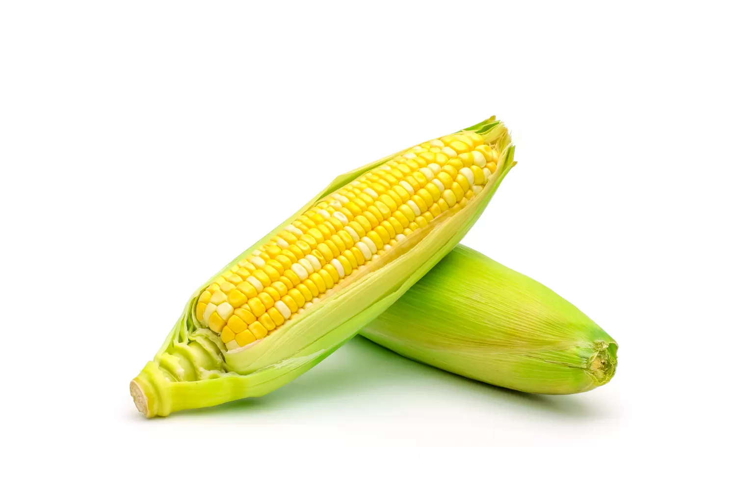 Corn (मका) 
